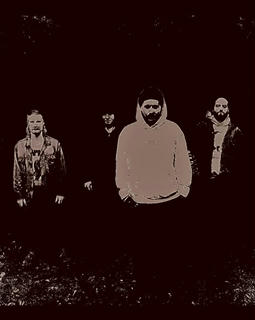 Artist Cover