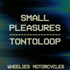 Small Pleasures, Tontoloop