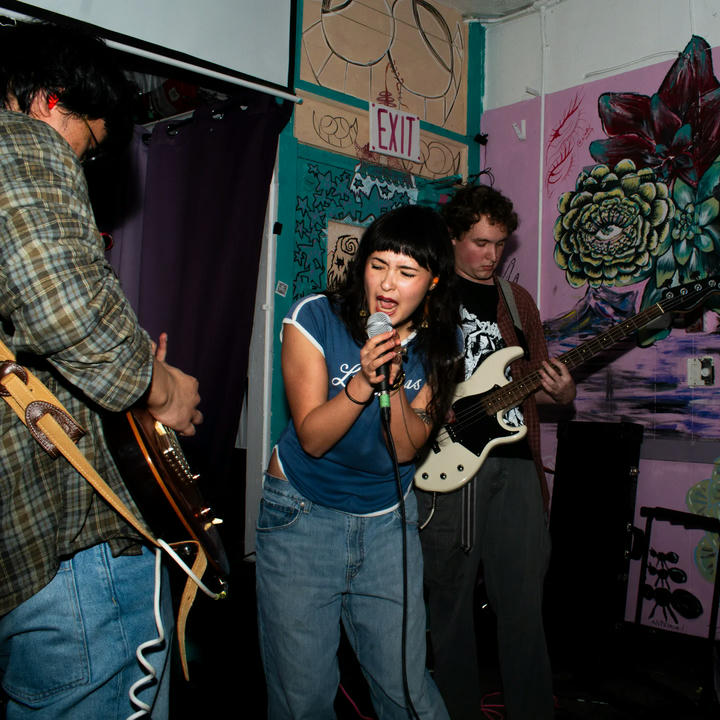 Artist Cover