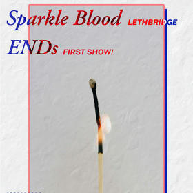 Aversions, WACK, Sparkle Blood, ENDS