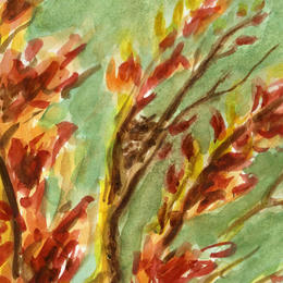 Artist Cover