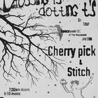 Crossing i’s Dotting t’s, Cherry Pick, stitch, 