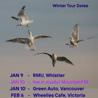 The Zummers "Tonight" Release Party, w/ Sunshower and The Bank