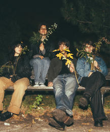 Artist Cover