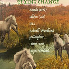 FLYING CHANGE