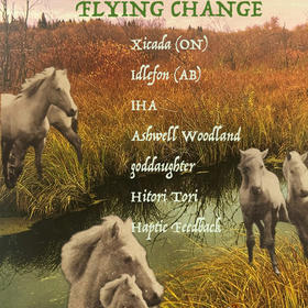 FLYING CHANGE