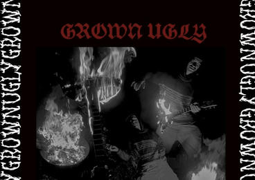 Artist Cover