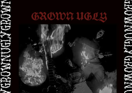 Artist Cover