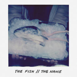 Artist Cover