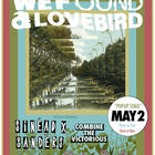 Sinead X Sanders, Combine the Victorious, We Found a Lovebird