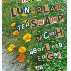 MCMH, Teaswamp, Lunar Lab, Scarlett Eagle