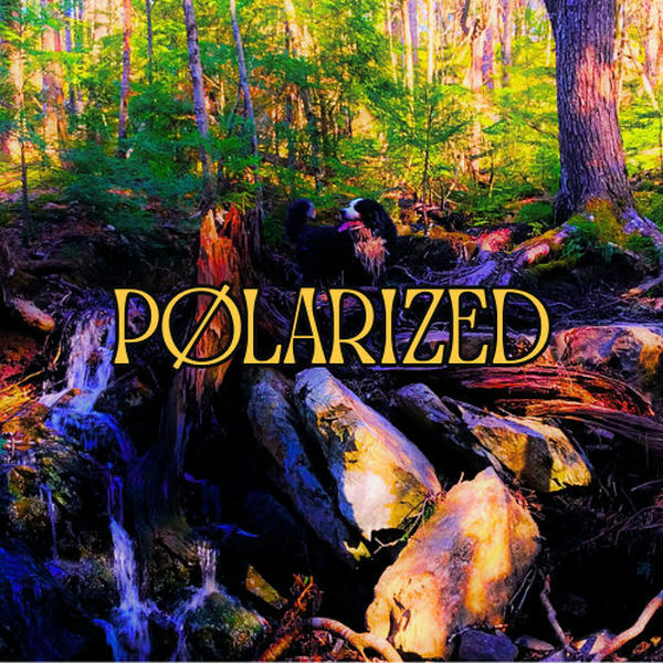 Artist Cover