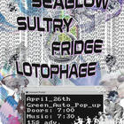 Sultry, Lotophage , Seaglow, Fridge