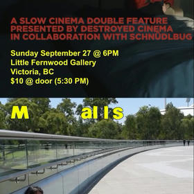 END OF HISTORY + MALLS - A DESTROYED-SCHÜDLBUG DOUBLE FEATURE