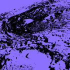 Ace Guacamole test 2